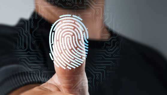 biometric solutions