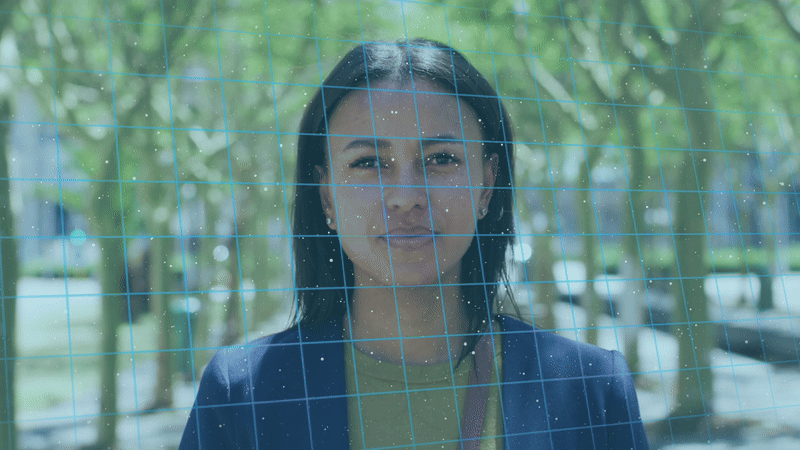 Face Recognition Technology